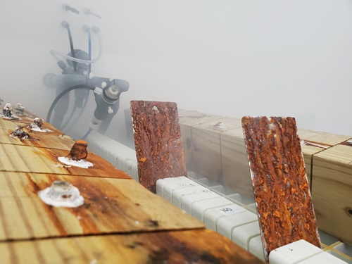 testing material samples inside salt fog machine